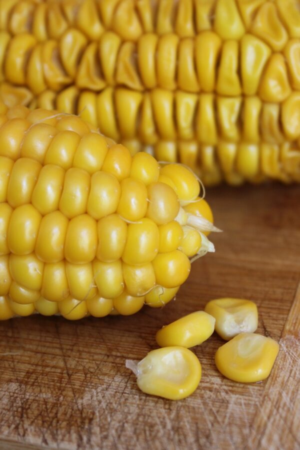 corn, close up, food-3571246.jpg