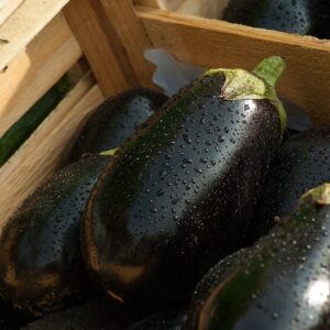 eggplants, market, vegetables-1707629.jpg