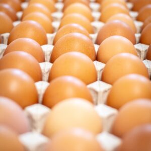 eggs, egg carton, free range-5455962.jpg