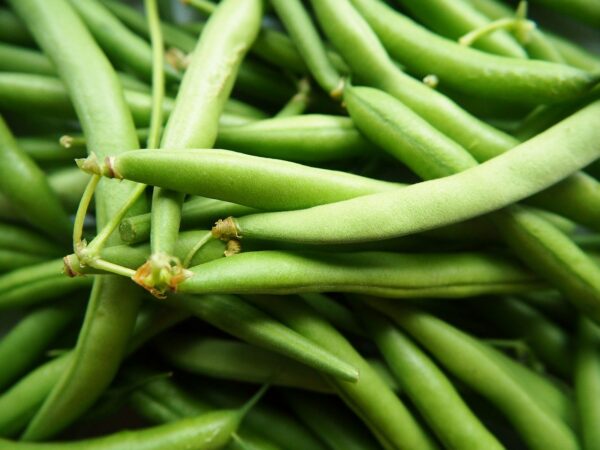 green beans, vegetables, garden-2707996.jpg