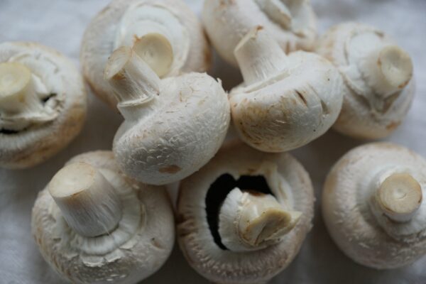 mushrooms, white mushroom, meal-761258.jpg