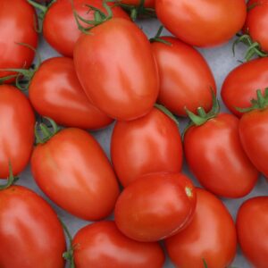tomatoes, salad, fresh-2716569.jpg