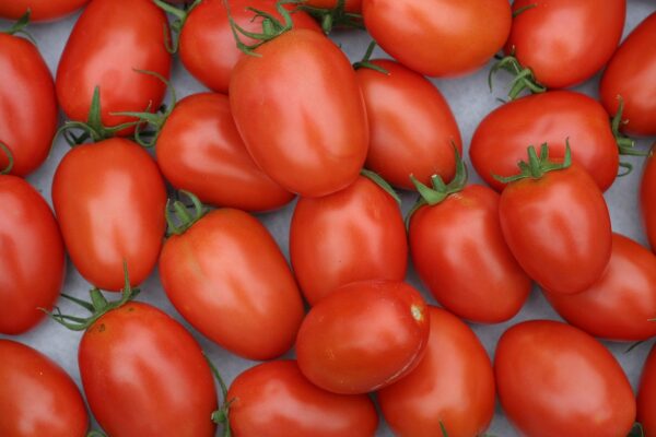 tomatoes, salad, fresh-2716569.jpg