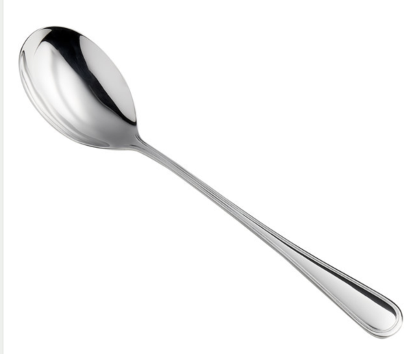 BQT SERVING SPOON 12 CT